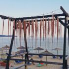 Summer Vacation 2021 – Brezoi and Thassos