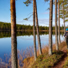 Autumn Trip to Northern Sweden