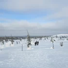 Our First Trip to Finnish Lapland
